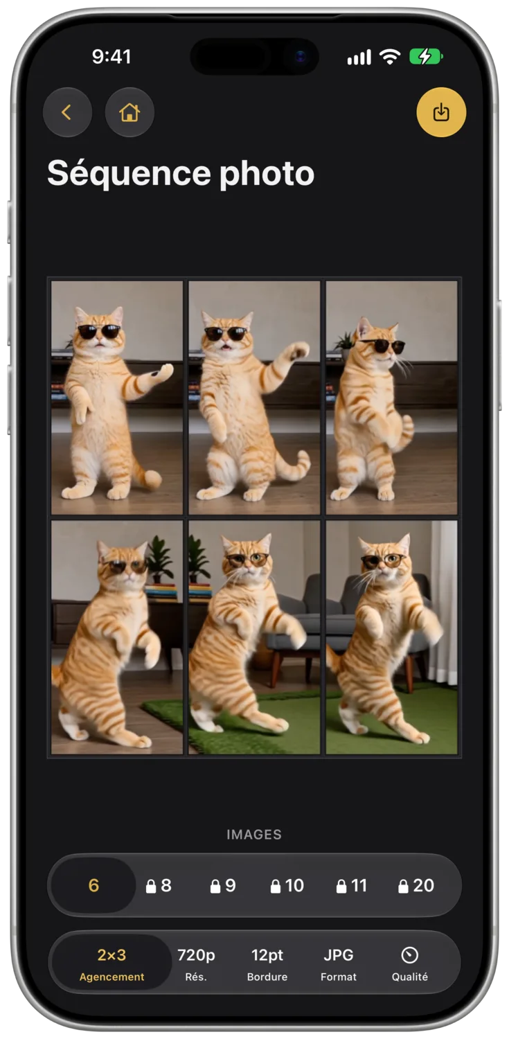 Le sélecteur de format de séquence sur iPhone.