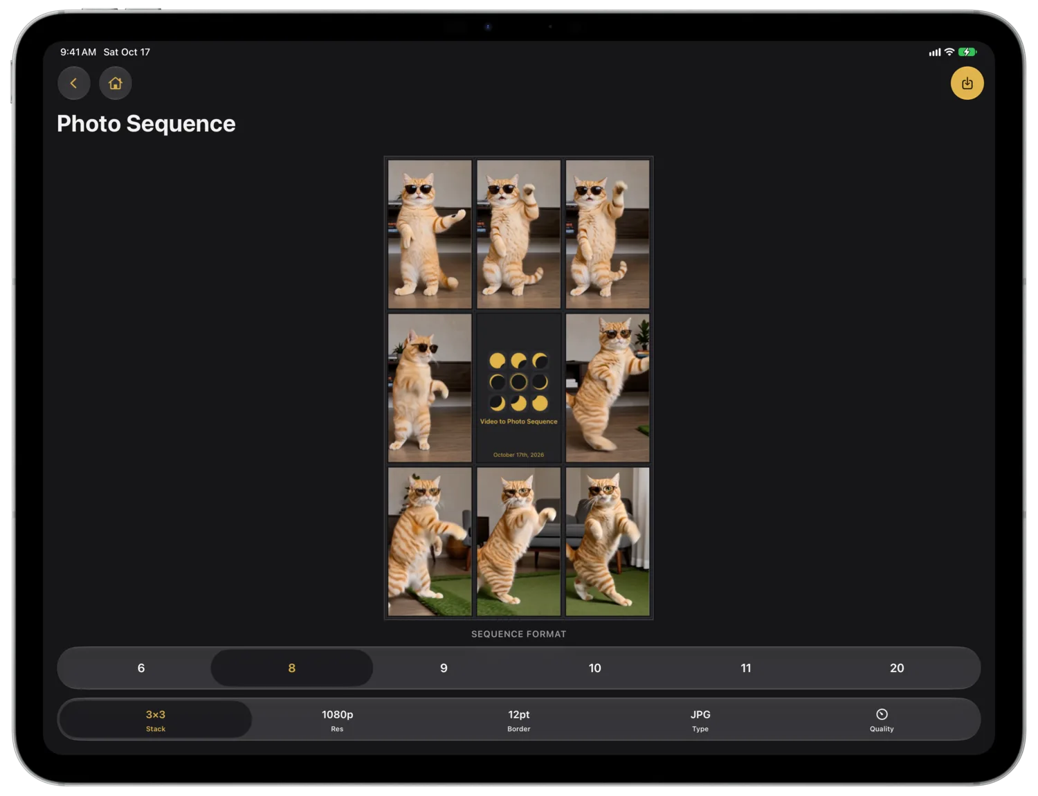 Eight Cat Frames Around a Title Card Above the Frame Picker and Options Bar on iPad Pro in Landscape
