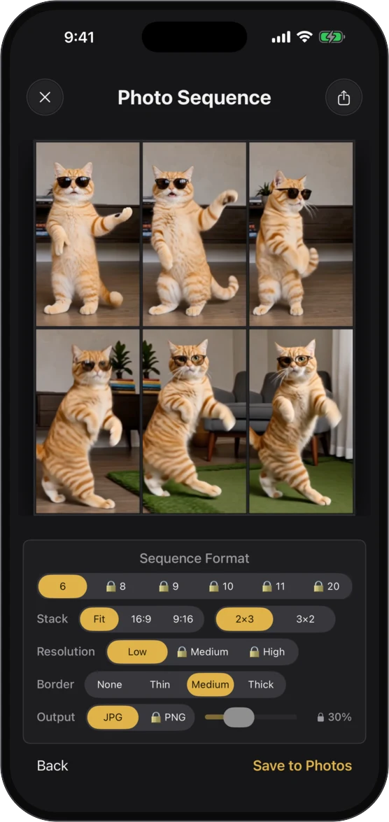 The sequence format picker on iPhone.